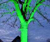 neu_20251111_170402_original