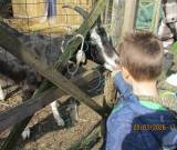 IMG_8228__neu_original