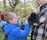 IMG_8202_neu_original