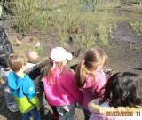 IMG_8249_neu_original